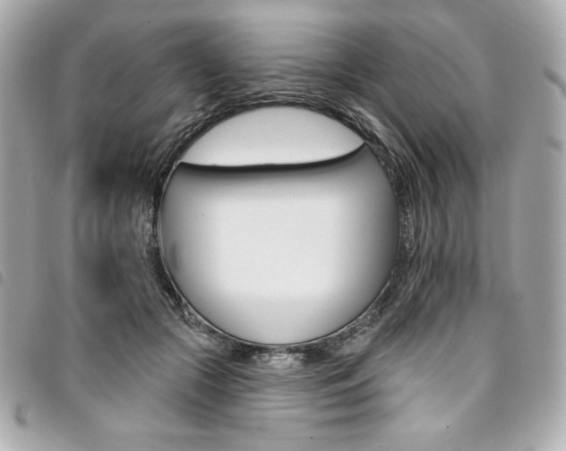 X0000095510553200712140937