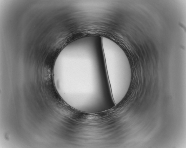 X0000095510555200712140937