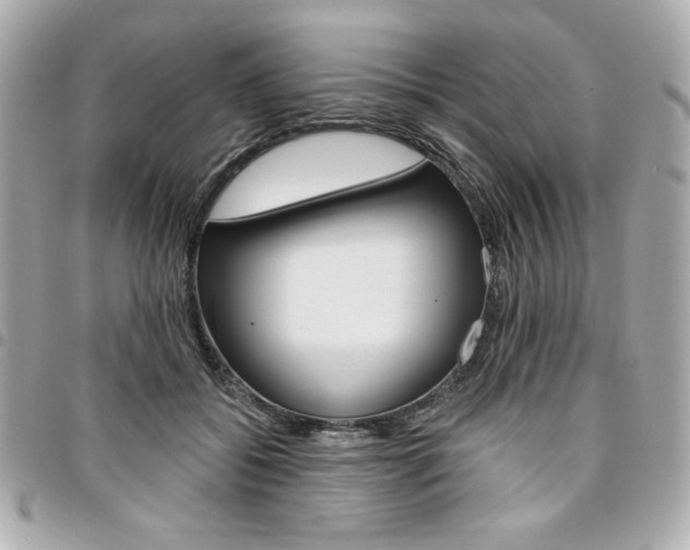 X0000095510556200712140937