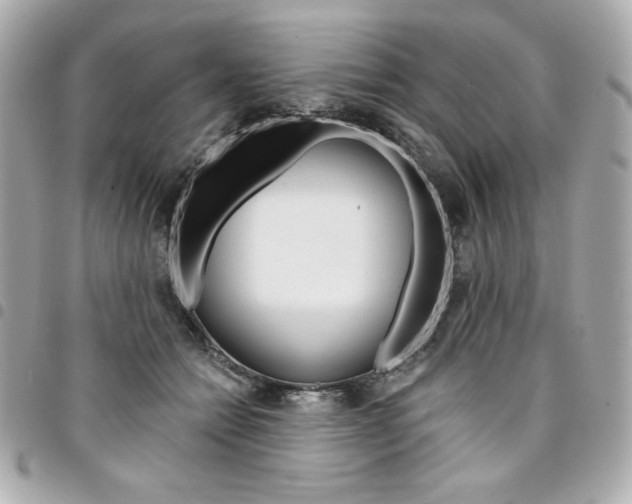 X0000095510558200712140937