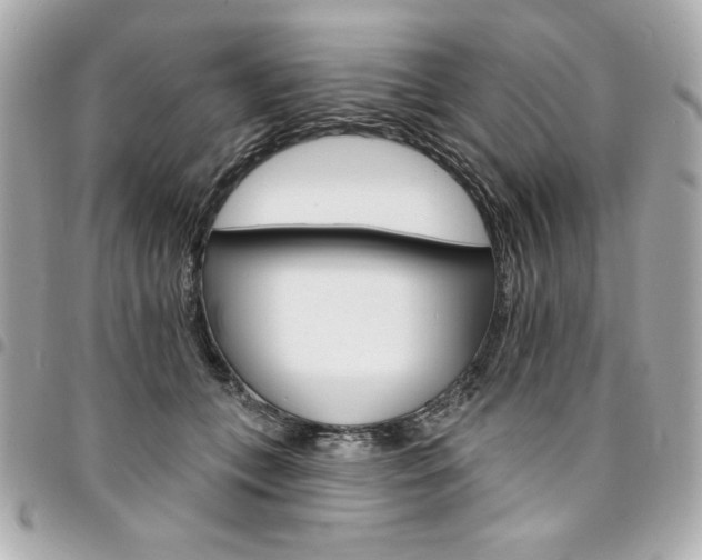 X0000095510559200712140937