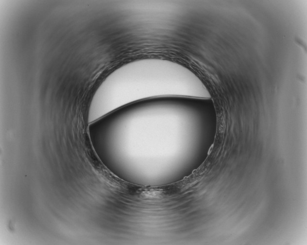 X0000095510560200712140937