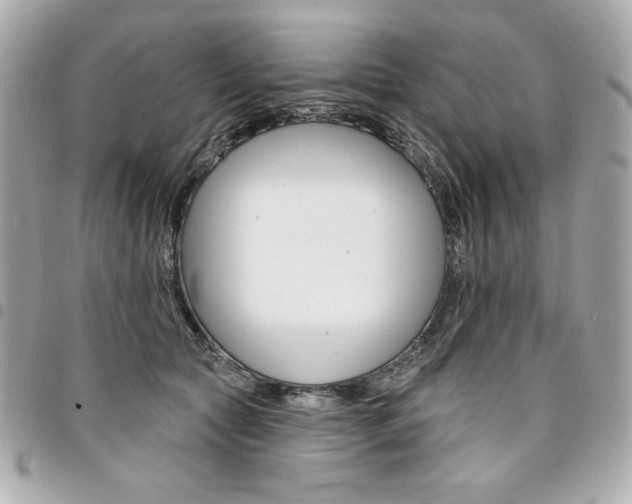 X0000095510561200712140937