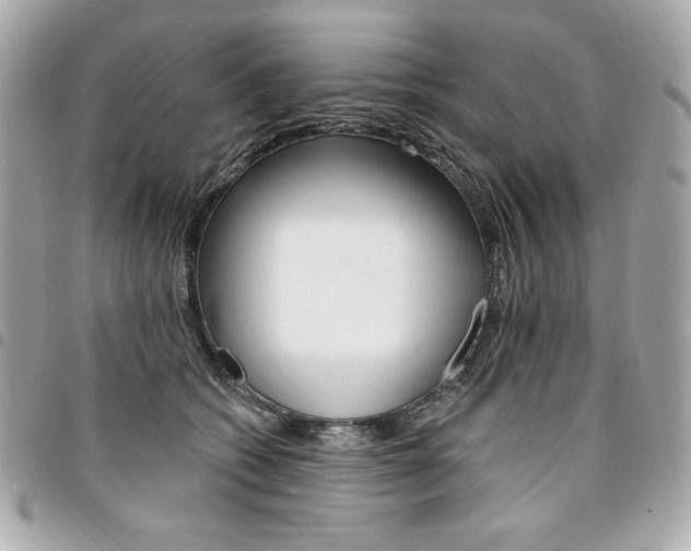 X0000095510562200712140937
