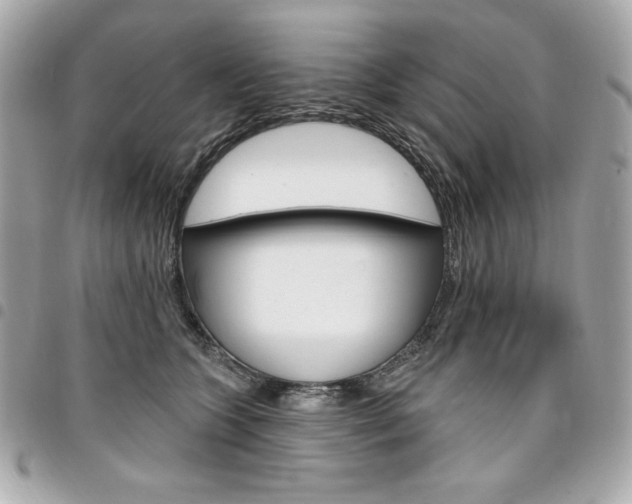 X0000095510563200712140937