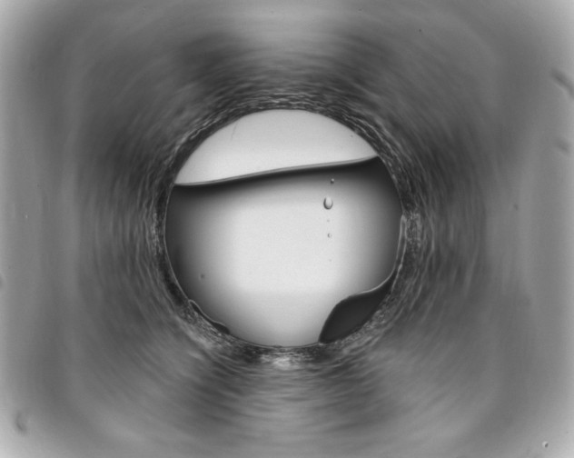 X0000095510564200712140937