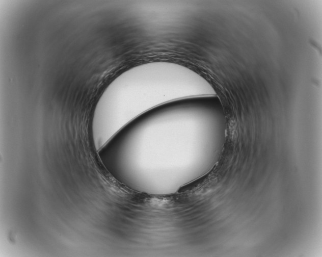 X0000095510570200712140937