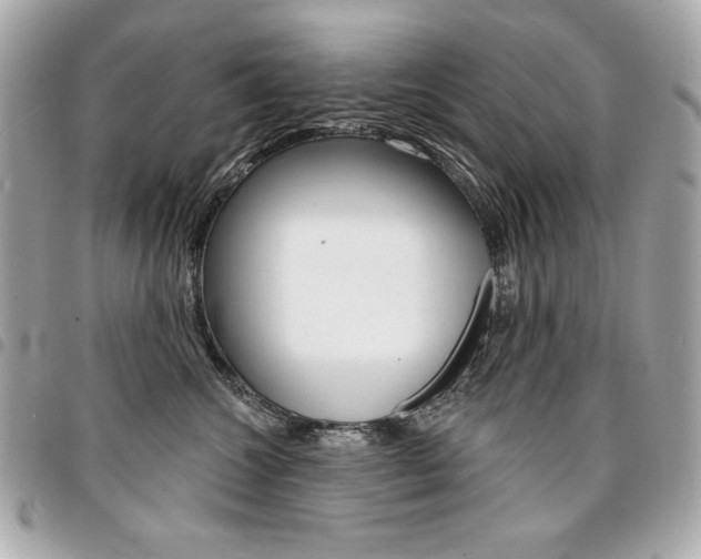 X0000095510572200712140937