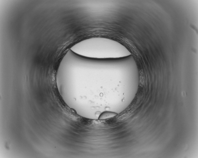 X0000095510573200712140937