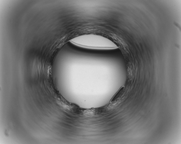 X0000095510574200712140937