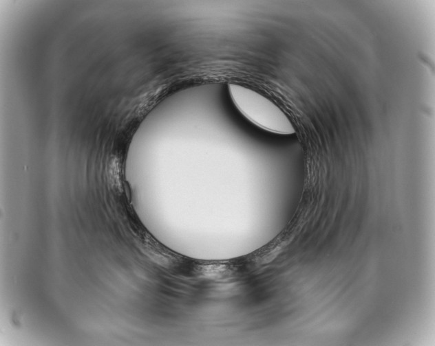 X0000095510575200712140937