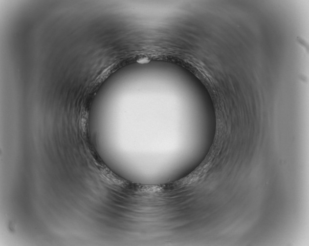 X0000095510576200712140937
