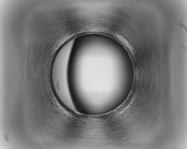 X0000095510577200712140936