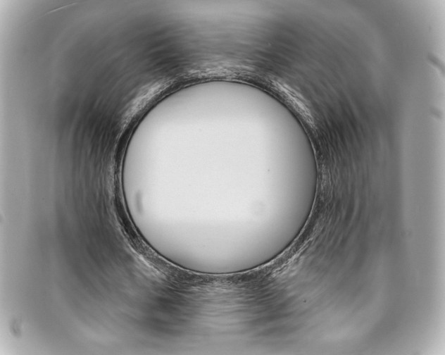 X0000095510578200712140936