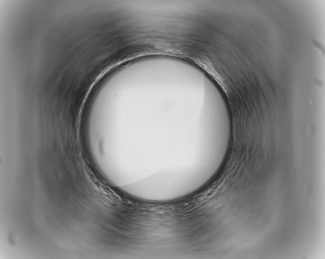 X0000095510579200712140936