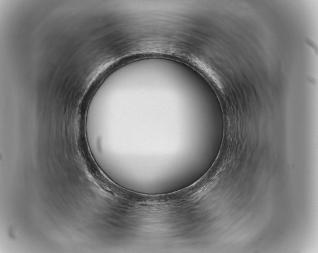 X0000095510580200712140936