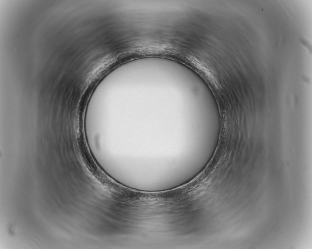 X0000095510582200712140936