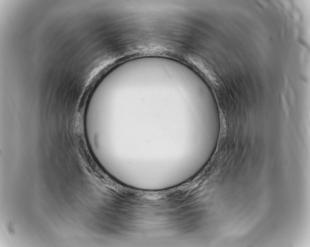 X0000095510583200712140936