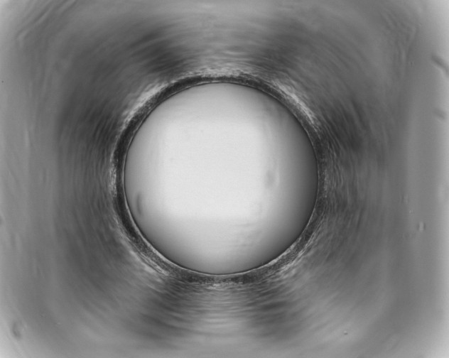 X0000095510584200712140936