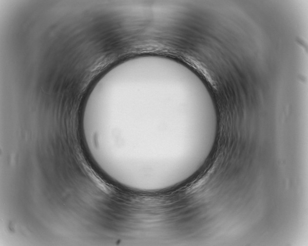 X0000095510589200712140936
