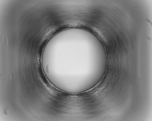 X0000095510590200712140936