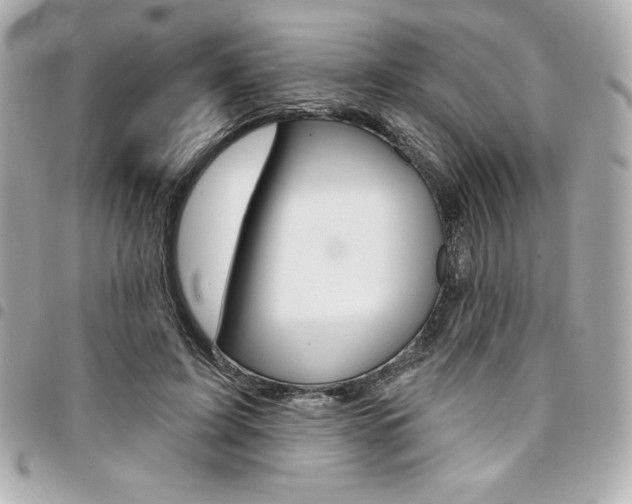 X0000095510595200712140936