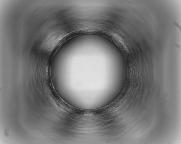 X0000095510596200712140936