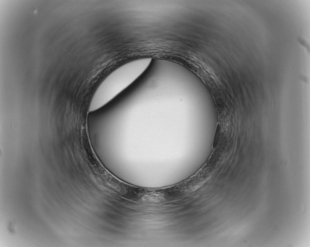 X0000095510599200712140936