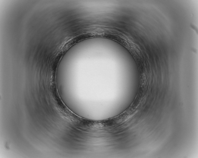 X0000095510600200712140936