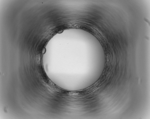 X0000095510602200712140936