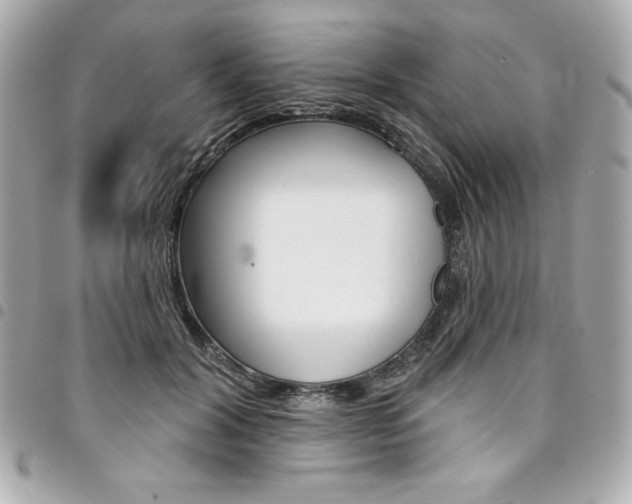 X0000095510604200712140936