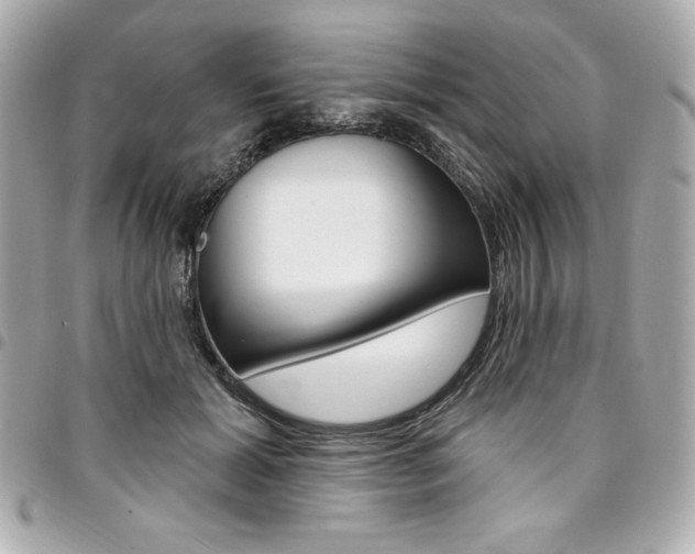 X0000095510605200712140936