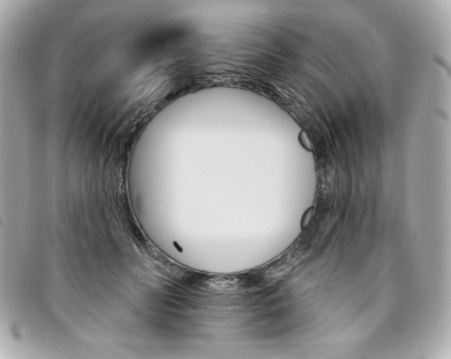 X0000095510606200712140936