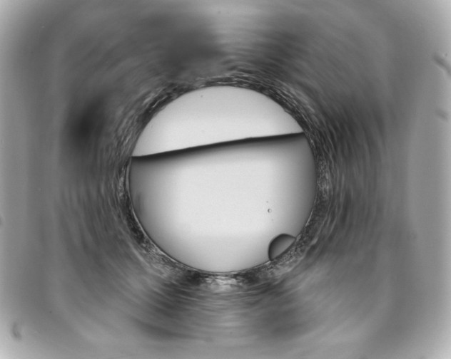 X0000095510607200712140936