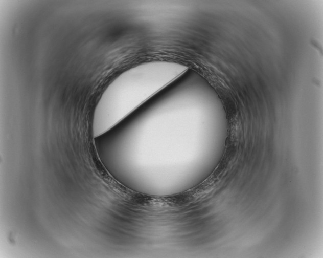 X0000095510608200712140936