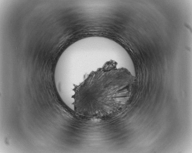 X0000095510609200712140936