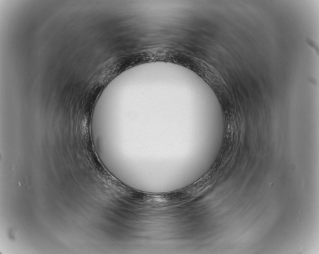 X0000095510610200712140936