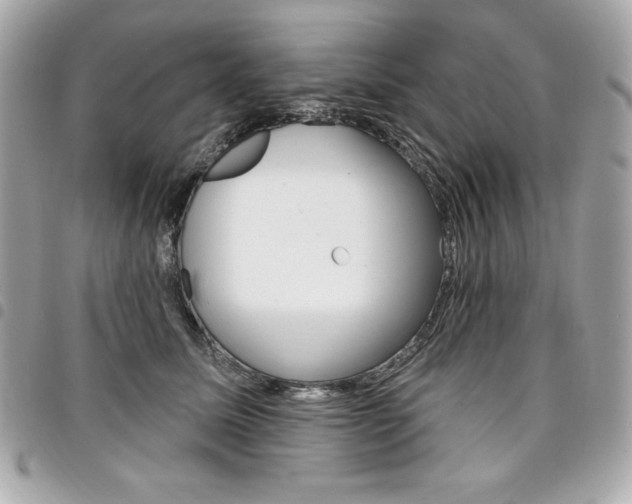 X0000095510611200712140936
