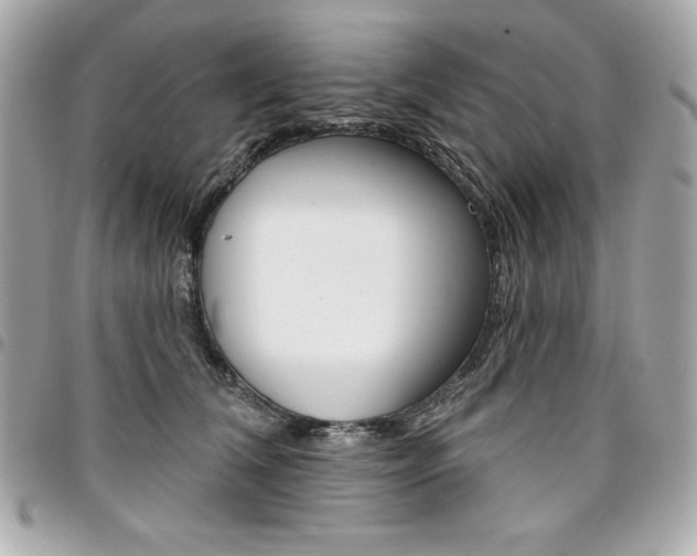 X0000095510612200712140936