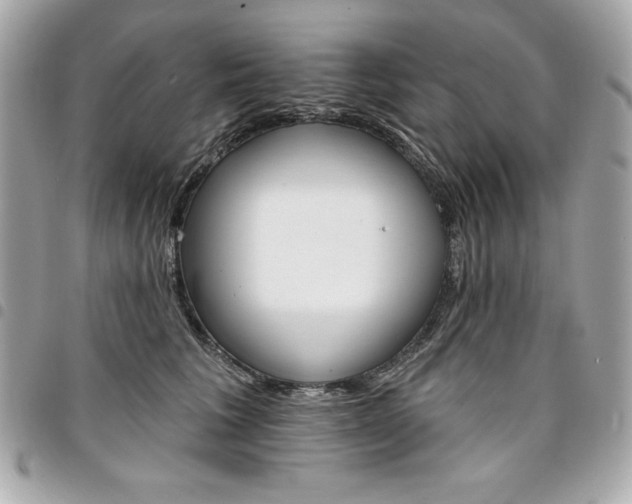 X0000095510613200712140936
