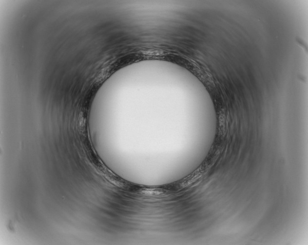 X0000095510614200712140936