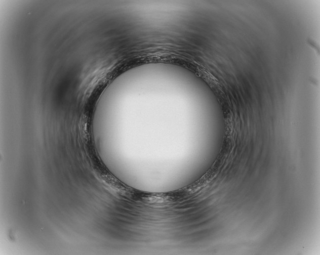 X0000095510615200712140936