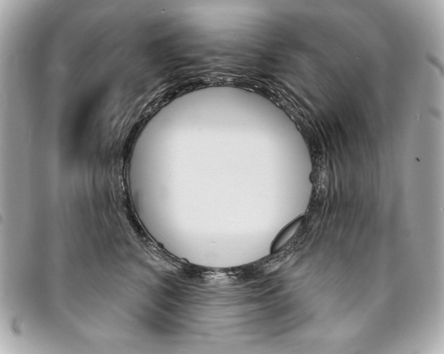 X0000095510616200712140936