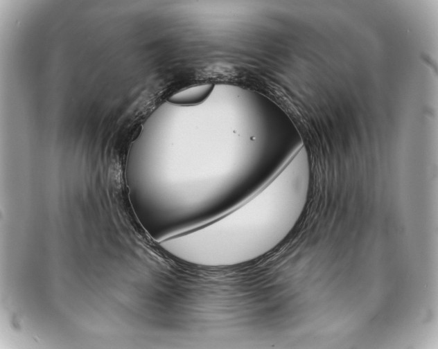 X0000095510617200712140936