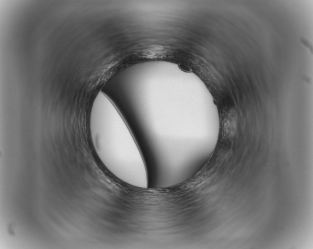X0000095510620200712140936