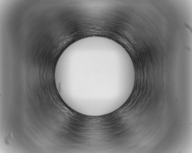 X0000095510621200712140936