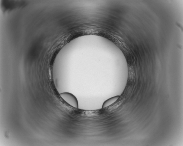 X0000095510622200712140936