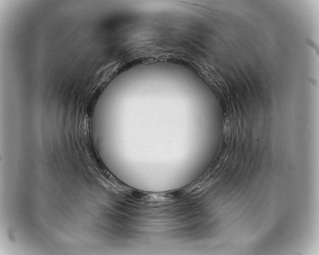 X0000095510623200712140936