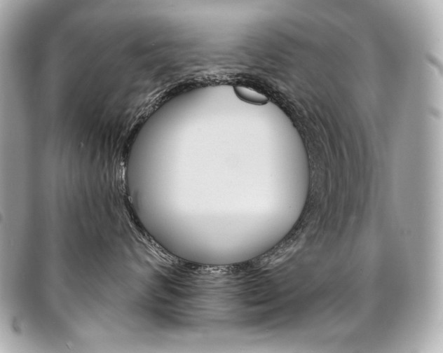 X0000095510624200712140936