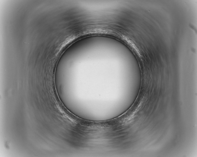 X0000095510625200712140935